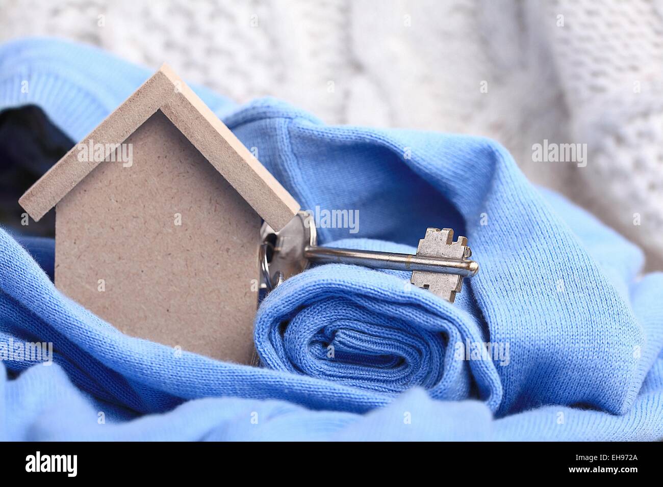 Giocattolo di legno house - il concetto di alloggiamento di ipoteca di acquisto di dollari di denaro contante Foto Stock