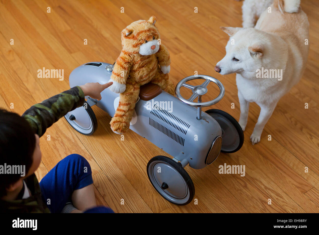 Il ragazzo, di età compresa tra i 6, giocando con animali impagliati e cane sul pavimento in legno - USA Foto Stock