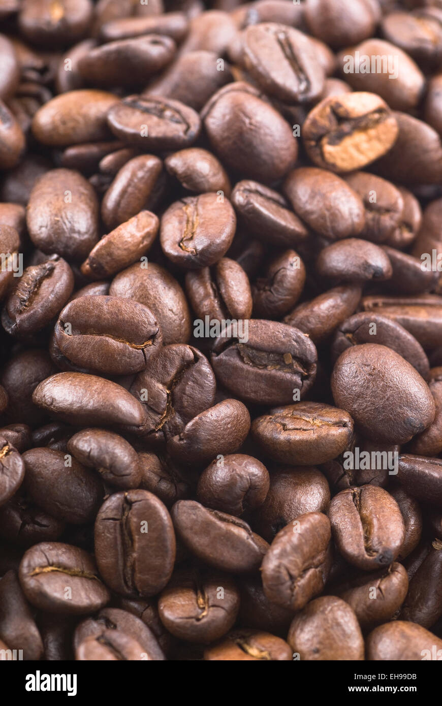 I chicchi di caffè full frame. Foto Stock