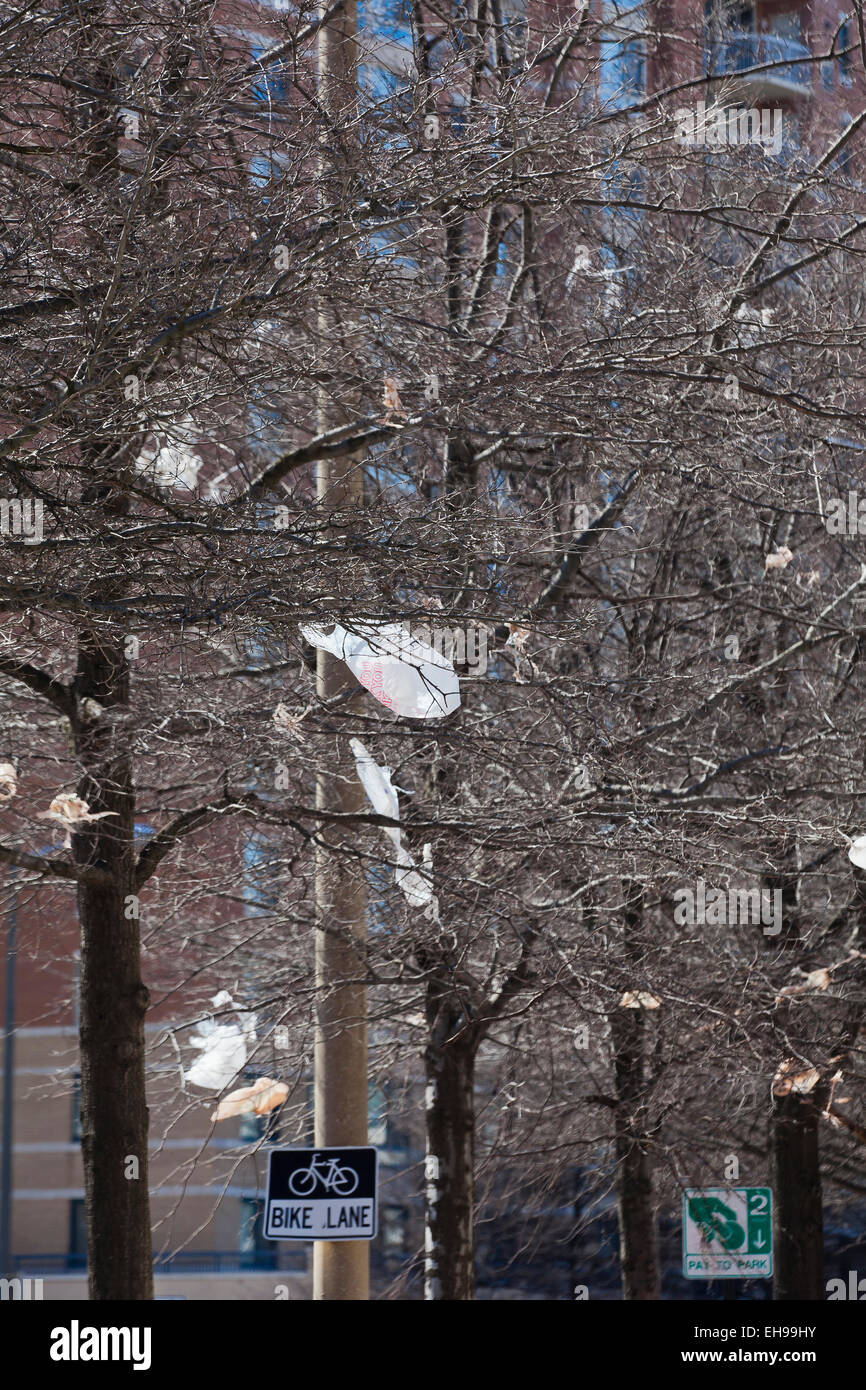 Sacchetti di plastica catturati in alberi - USA Foto Stock