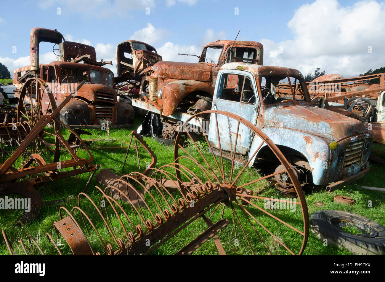 Vecchio camion e macchinari agricoli in campo, Horopito, vicino Raetihi, Waimarino, Isola del nord, Nuova Zelanda Foto Stock