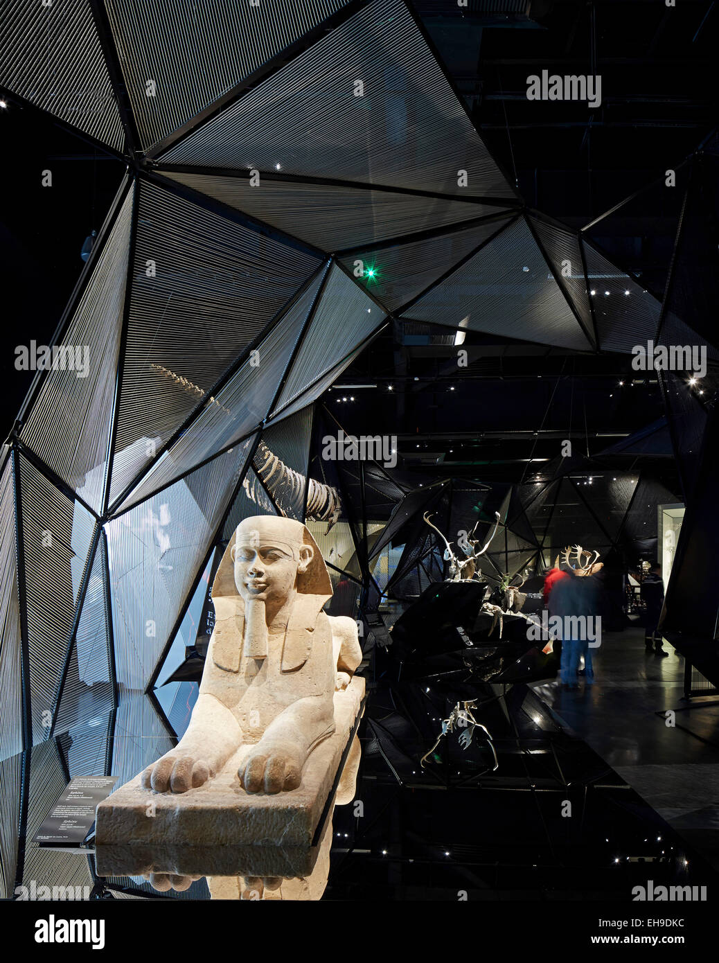 Spazio Gallery. Il Musée des Confluences, Lione, Francia. Architetto: COOP HIMMELB(L)AU, 2015. Foto Stock