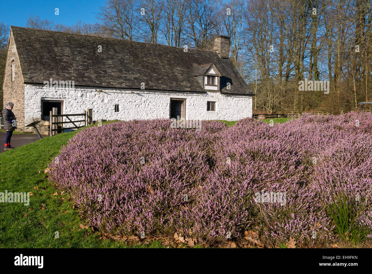 Agriturismo Cilewent St Fagans Cardiff Galles del Sud Foto Stock