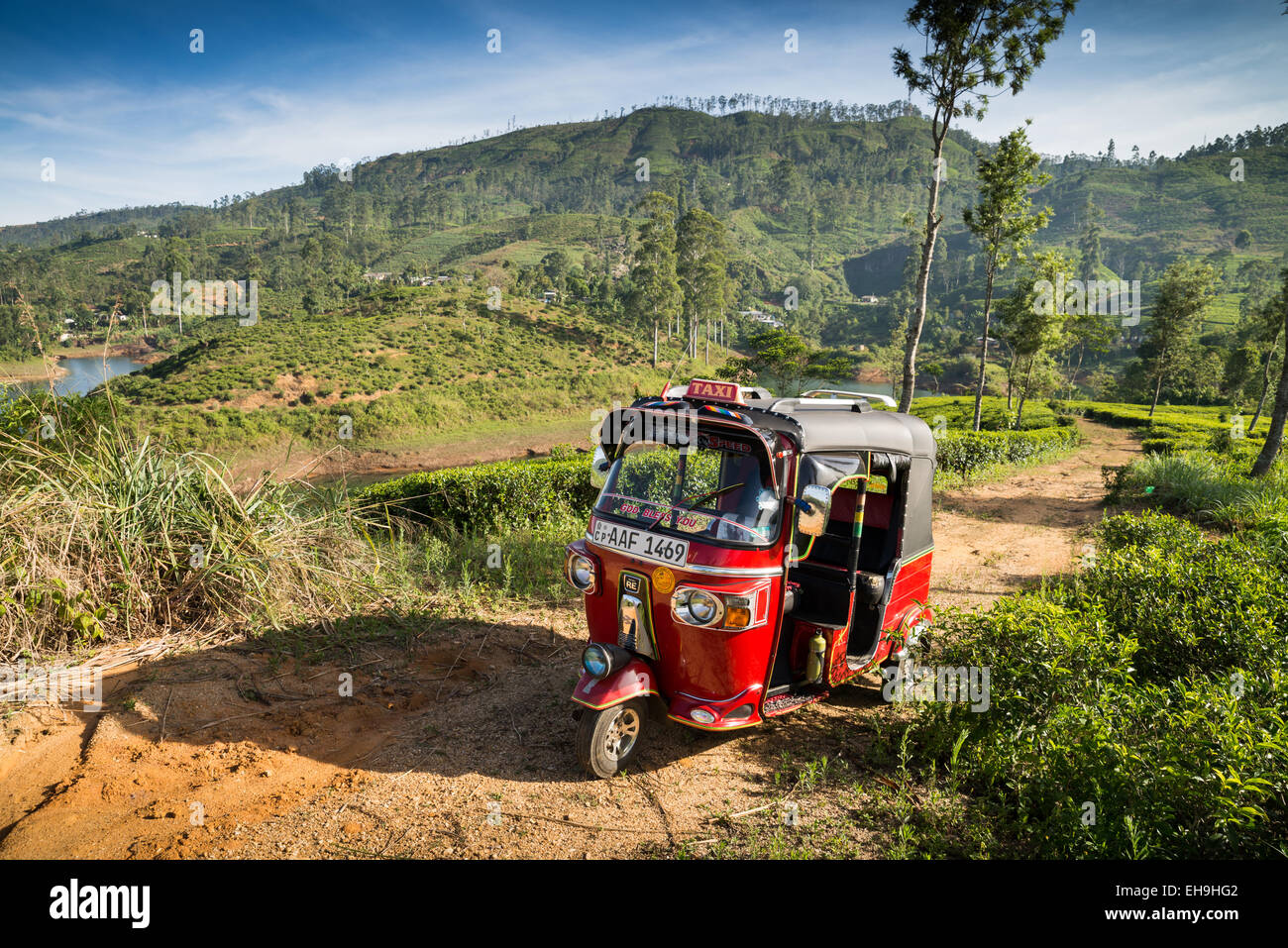 Un tuk tuk motor taxi guidando lungo la strada principale che attraversa le piantagioni di tè in Sri Lanka highlands, intorno al picco di Adams, Asia Foto Stock