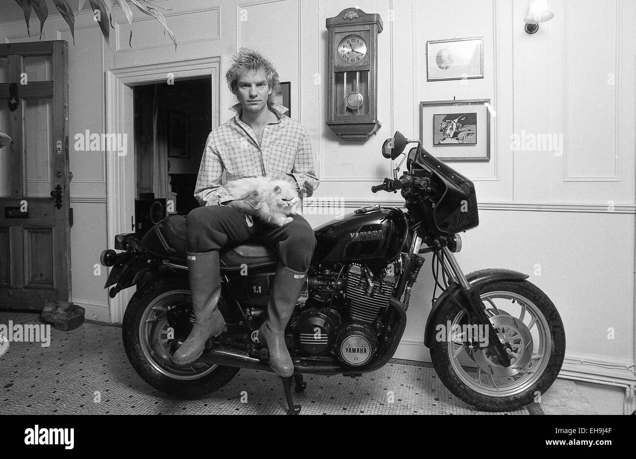 Sting si siede a cavallo della sua moto a casa con il suo gatto sul suo giro Foto Stock