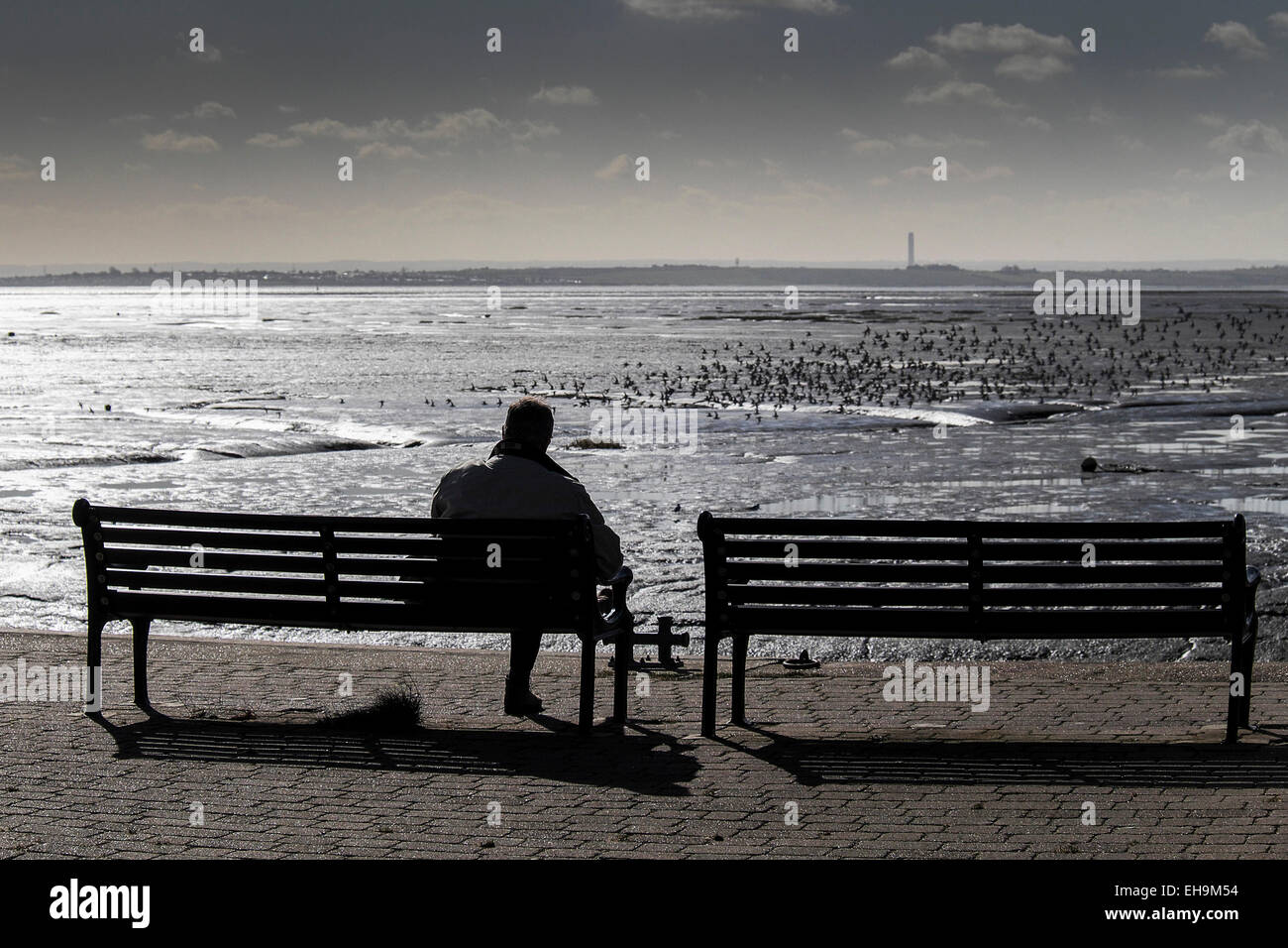 La silhouette di un uomo seduto su una panchina si affaccia l'estuario del Tamigi a bassa marea a Leigh on Sea in Essex. Foto Stock