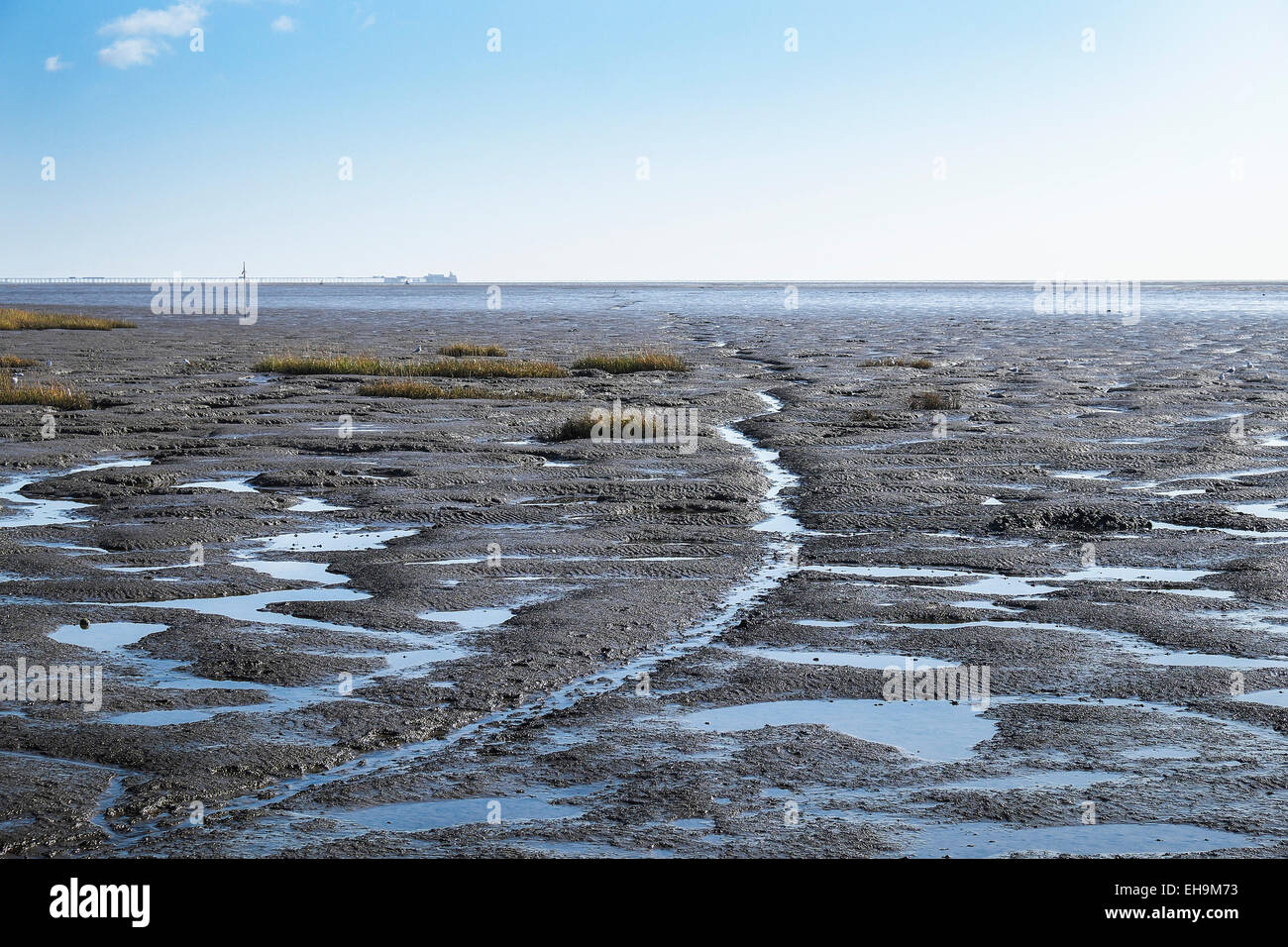 L'estuario del Tamigi a bassa marea visto dalla Essex shore. Foto Stock