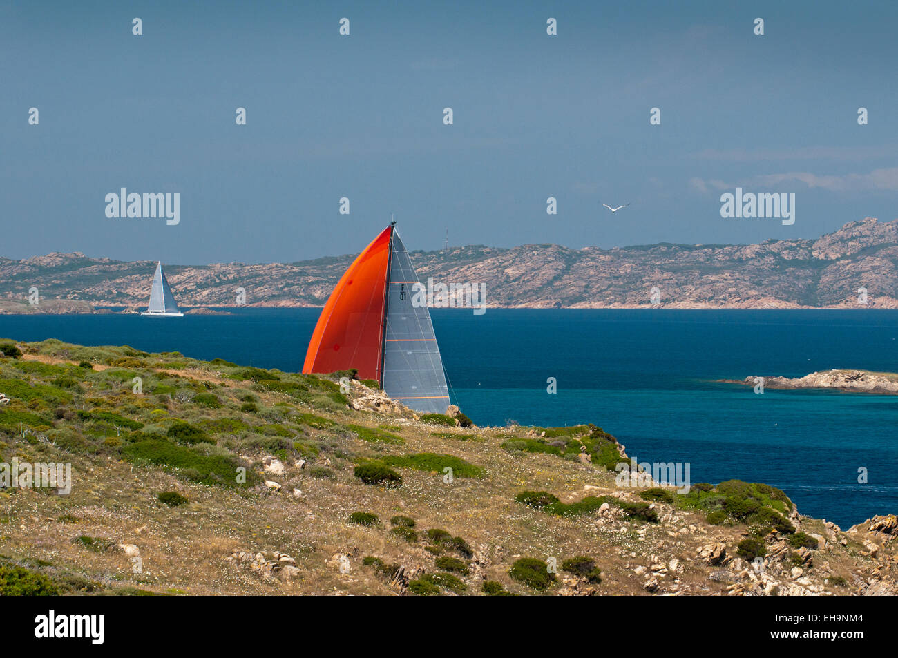 Costa Smeralda, Sardegna, Italia.3/6/2013. Regata in barca a vela sul mare attorno a Porto Cervo Arzachena Foto Stock