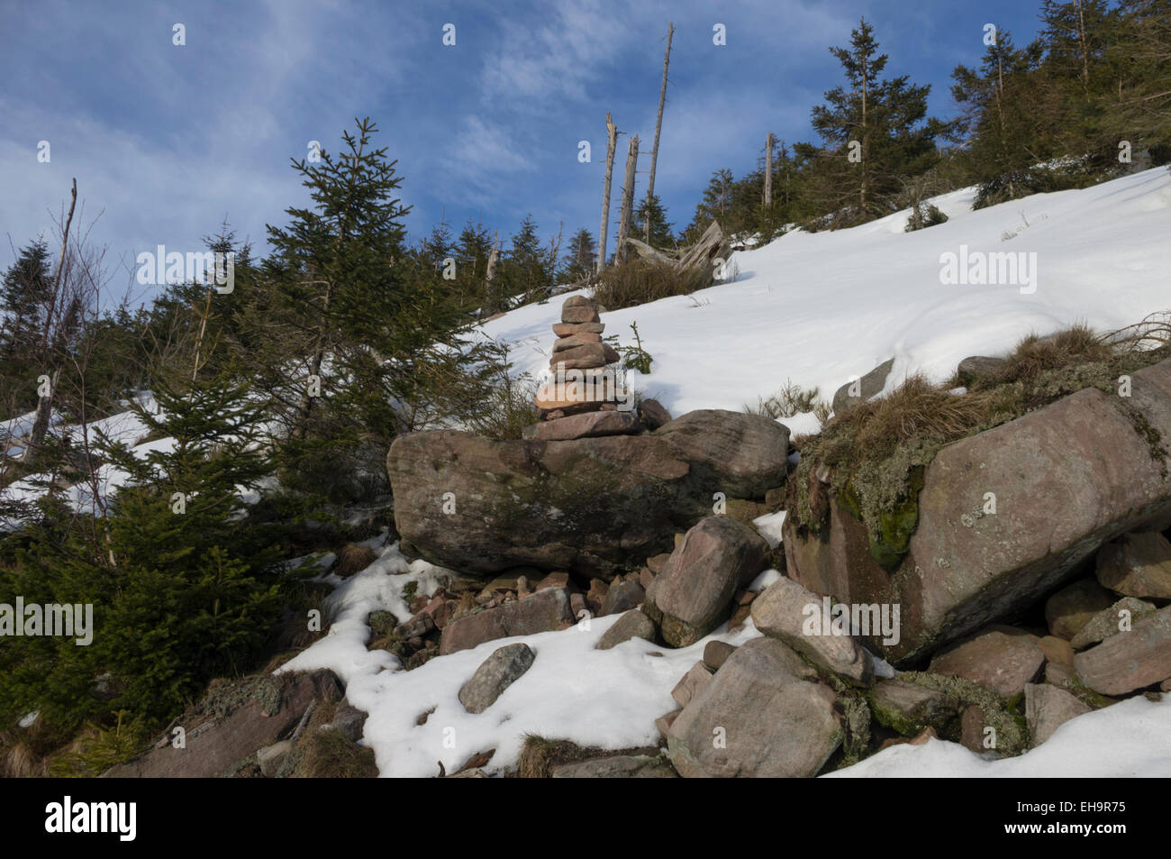 Mid-range vista delle pietre in piedi con uno sfondo di neve e alberi di pino e un blu cielo d'inverno. Foto Stock