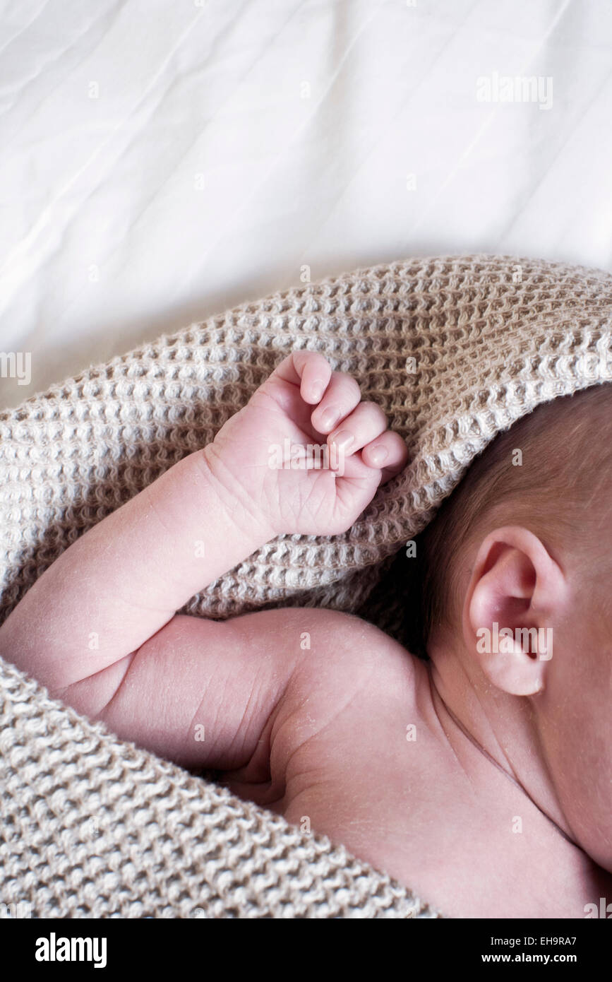 Baby napping, ritagliato Foto Stock