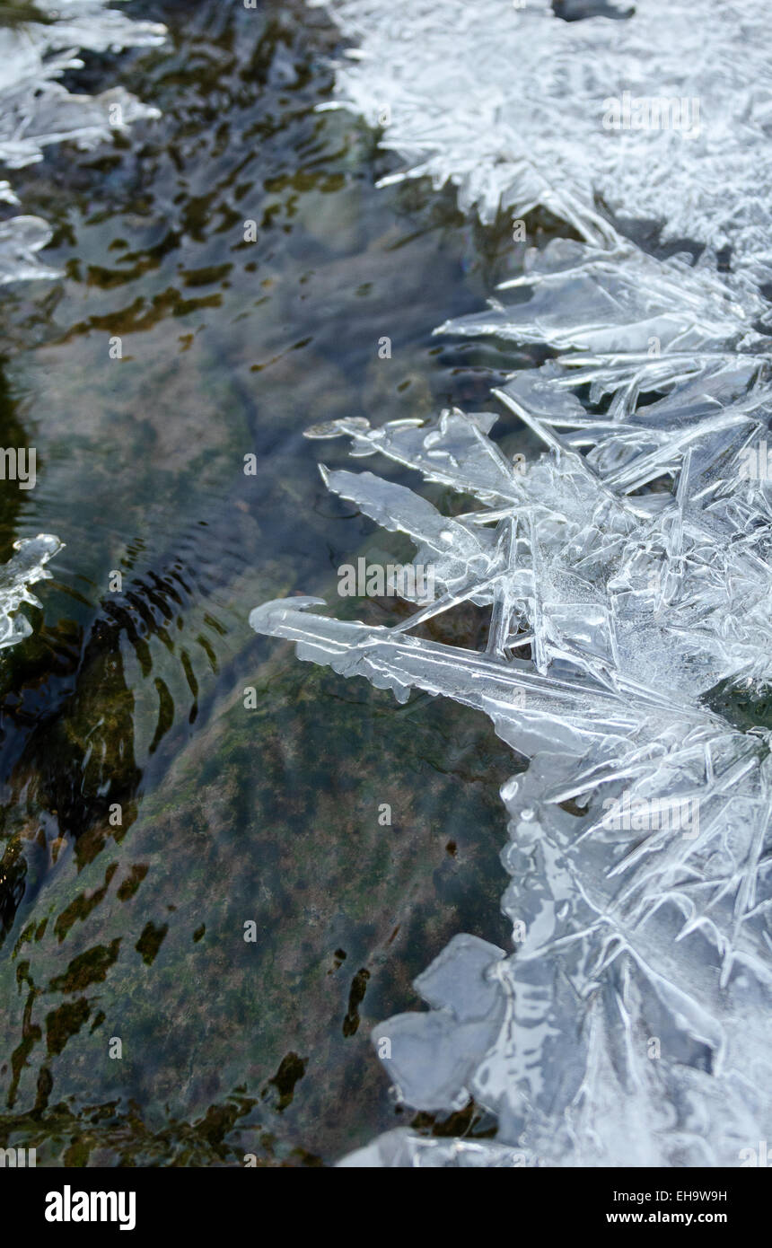 La formazione di ghiaccio su un flusso di marea invia cristalli lunghi sull'acqua. Foto Stock