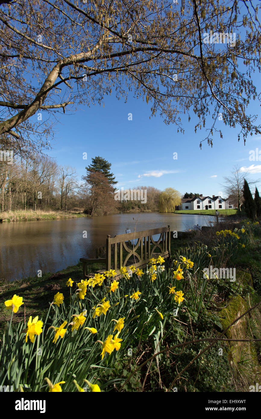 Villaggio di Aldersey, Inghilterra. Molla di pittoresca vista di un laghetto da pesca con Aldersey's Pool Farm in background. Foto Stock