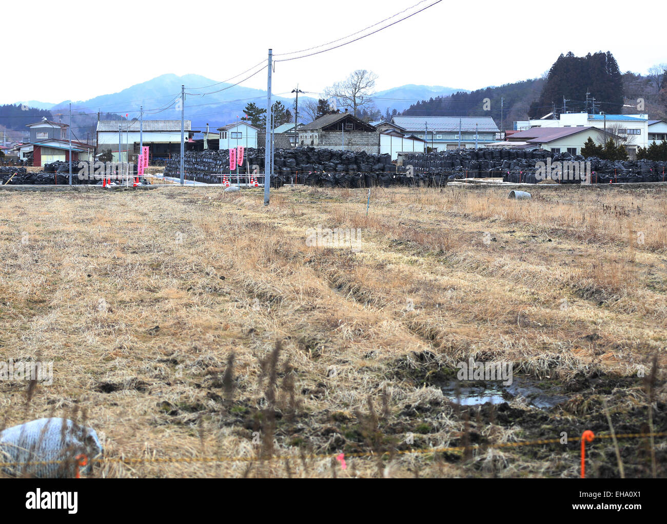 (150310) -- FUKUSHIMA, Marzo 10, 2015 (Xinhua) -- sacchi di colore nero contenente l'accumulo di rifiuti contaminati sono visibili nella città di Iitate, Fukushima Prefettura, Giappone, 7 marzo 2015. Le scene della città e villaggi abbandonati ancora quattro anni dopo un terremoto tsunami innescato violato le difese del Fukushima Daiichi Nuclear Power Plant, consentirebbe di realizzare lo sfondo perfetto per un post-apocalittico Hollywood film zombie, ma il problema potrebbe essere che i livelli di radiazioni nella zona sarebbe troppo pericoloso per il cast e la troupe. Il governo centrale di maxim di " Tutto è unde Foto Stock