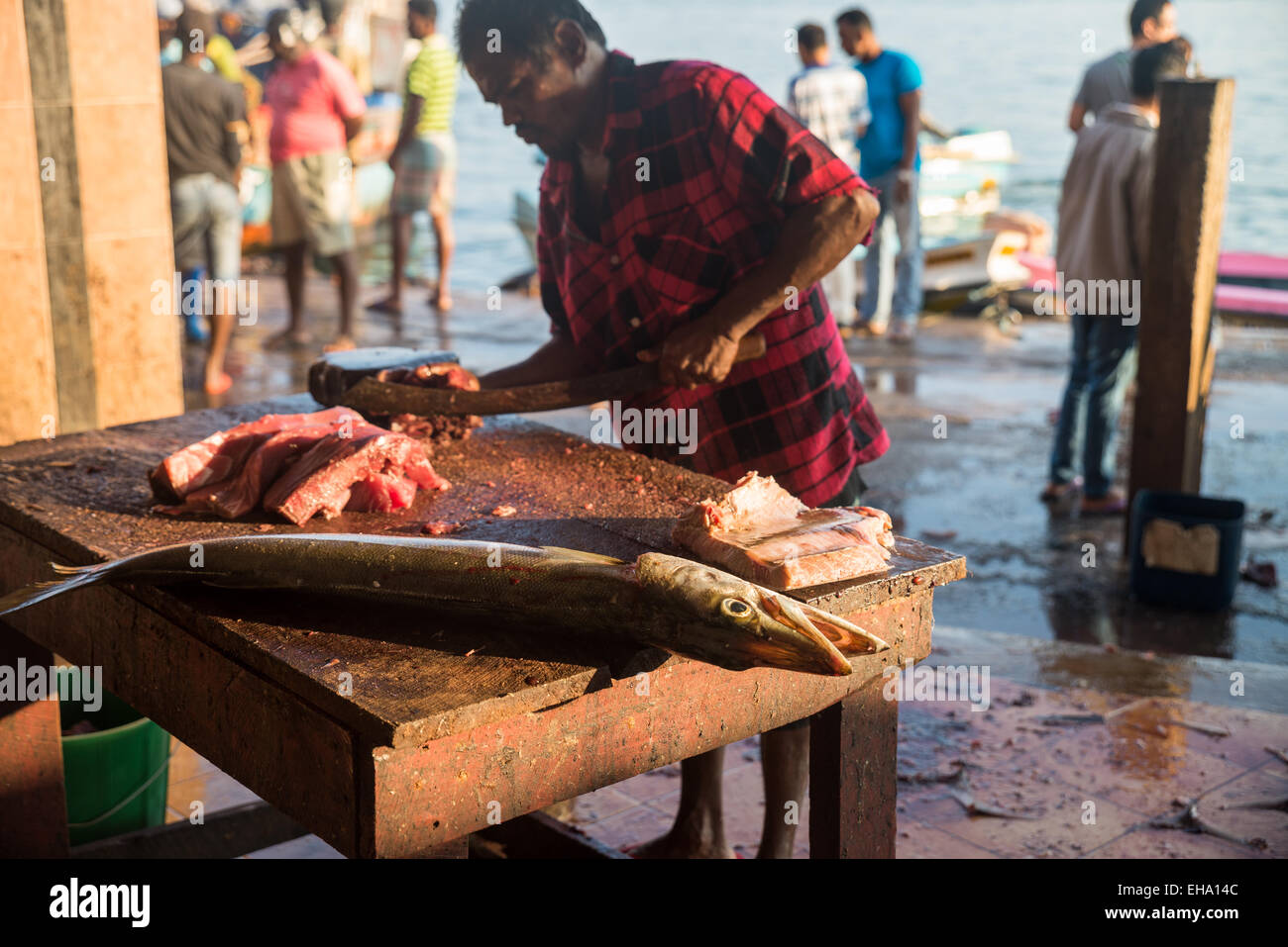 Mercato del pesce fresco a Negombo, Sri Lanka Foto Stock