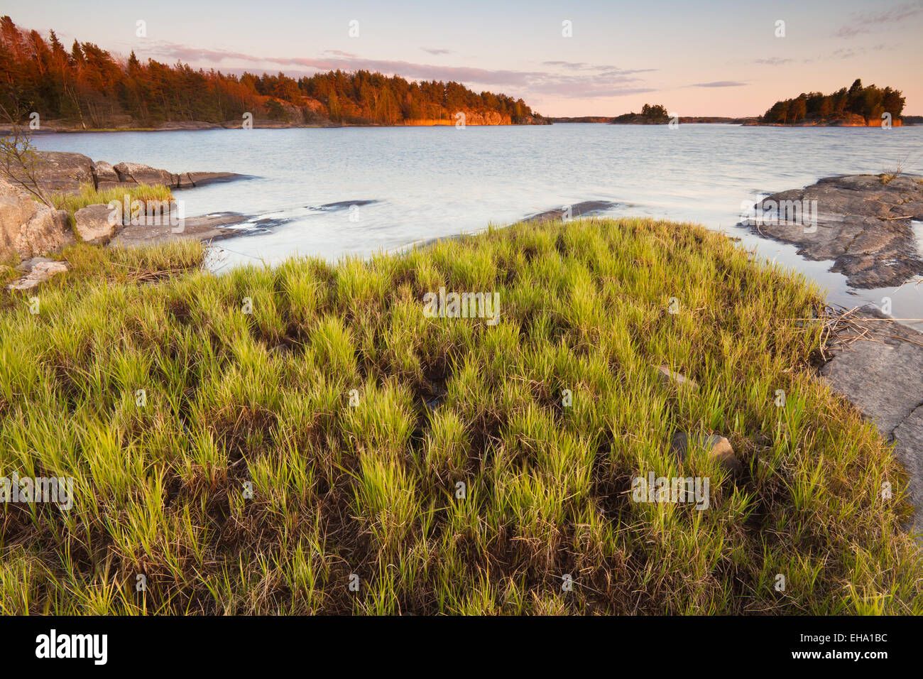Bella serata primaverile presso l'isola Østenrødøya nel lago Vansjø, Østfold, Norvegia. Vansjø è una parte dell'acqua sistema chiamato Morsavassdraget. Foto Stock