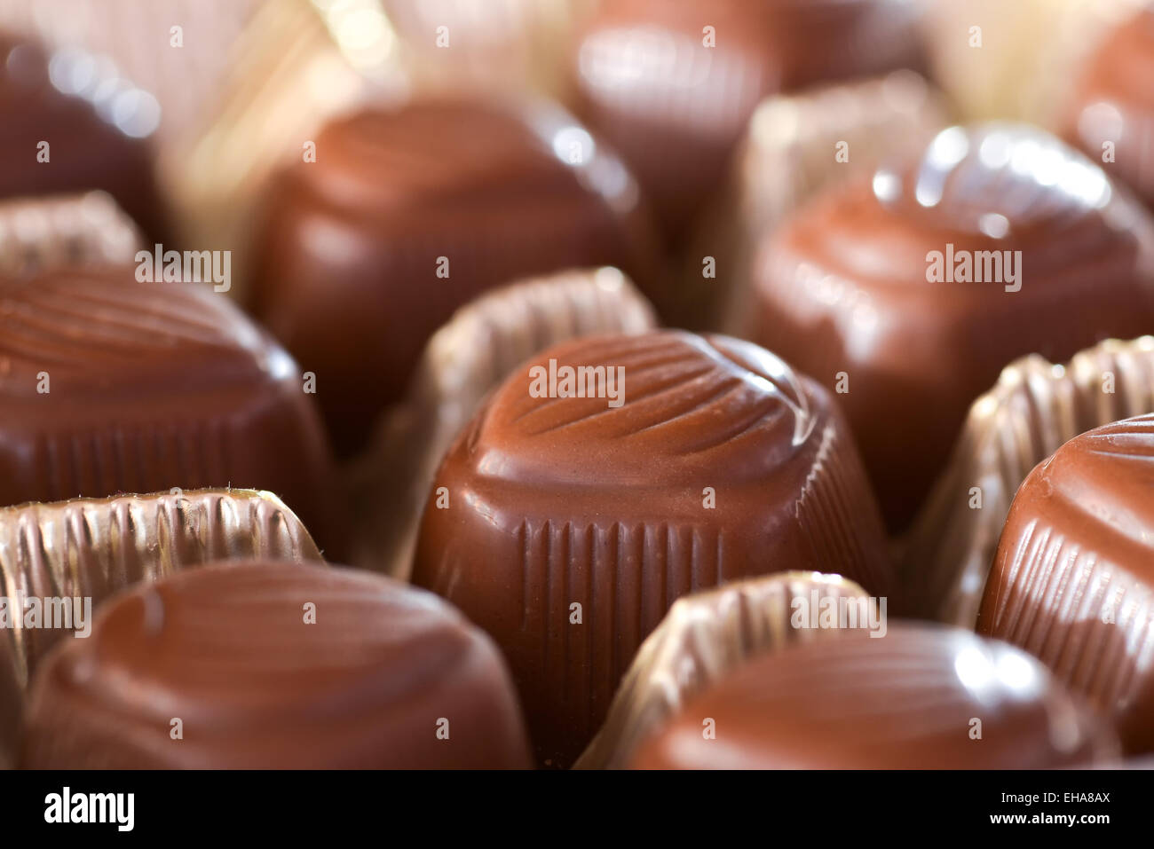 Closeup cioccolatini collocato nel supporto in plastica Foto Stock