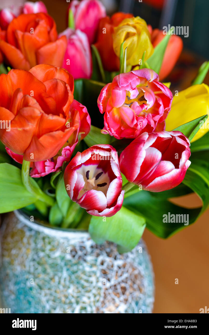 Tulipani rossi disposti in un vaso di ceramica a luce naturale Foto Stock