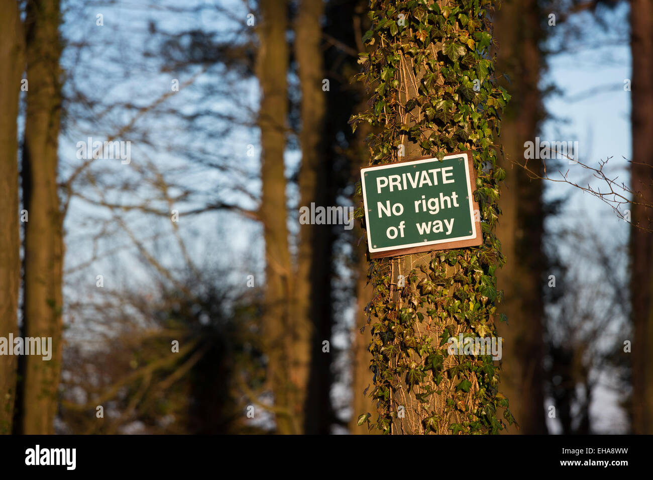 Non privato diritto di firmare inchiodati ad un albero in un bosco privato. Regno Unito Foto Stock