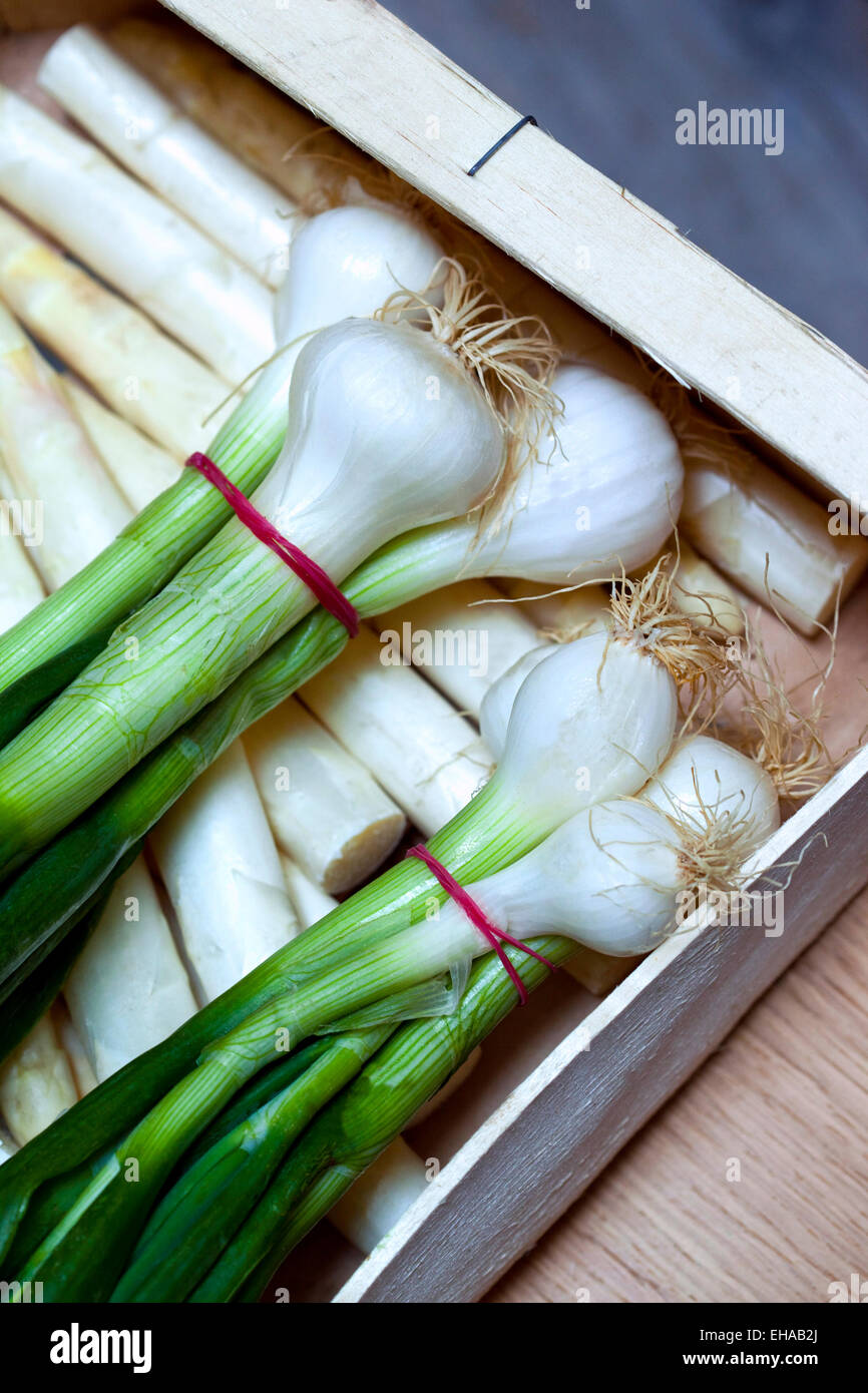 Le cipolle e gli asparagi in una cassa in un mercato in stallo Foto Stock