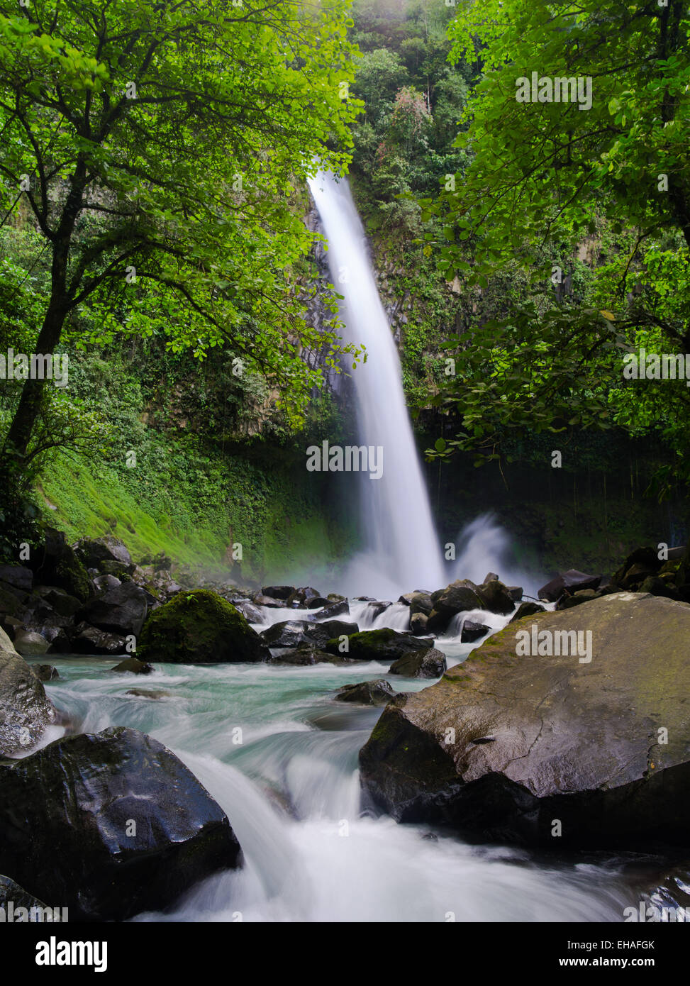 Molto bella la Fortuna cascata, nei pressi de La Fortuna, Alajuela in Costa Rica. Foto Stock