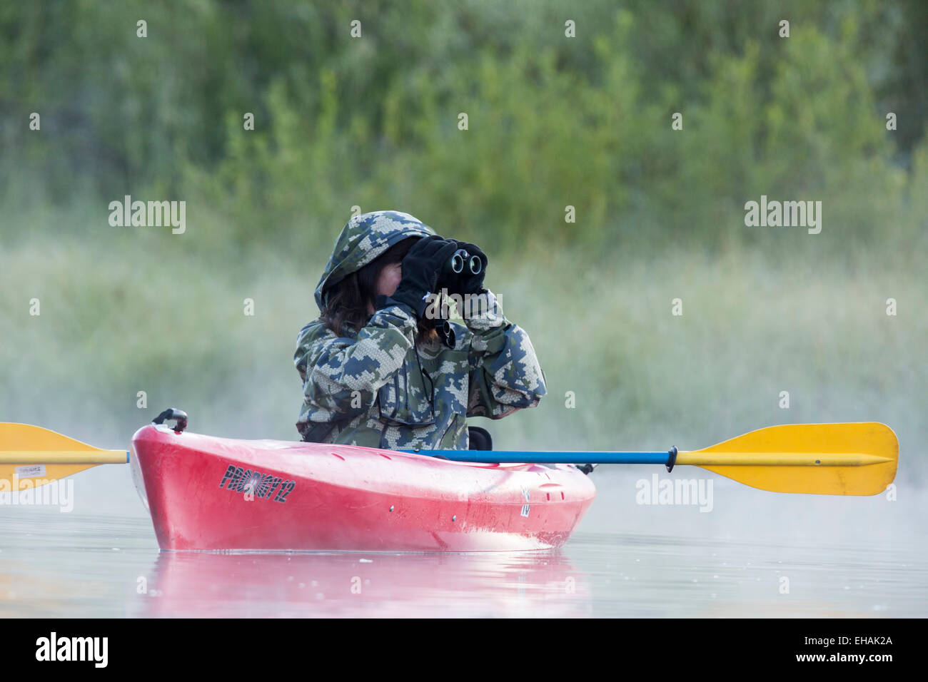 Guardando per la fauna selvatica sul fiume Snake, Lanca Bend, Grand Teton National Park, Wyoming. Foto Stock