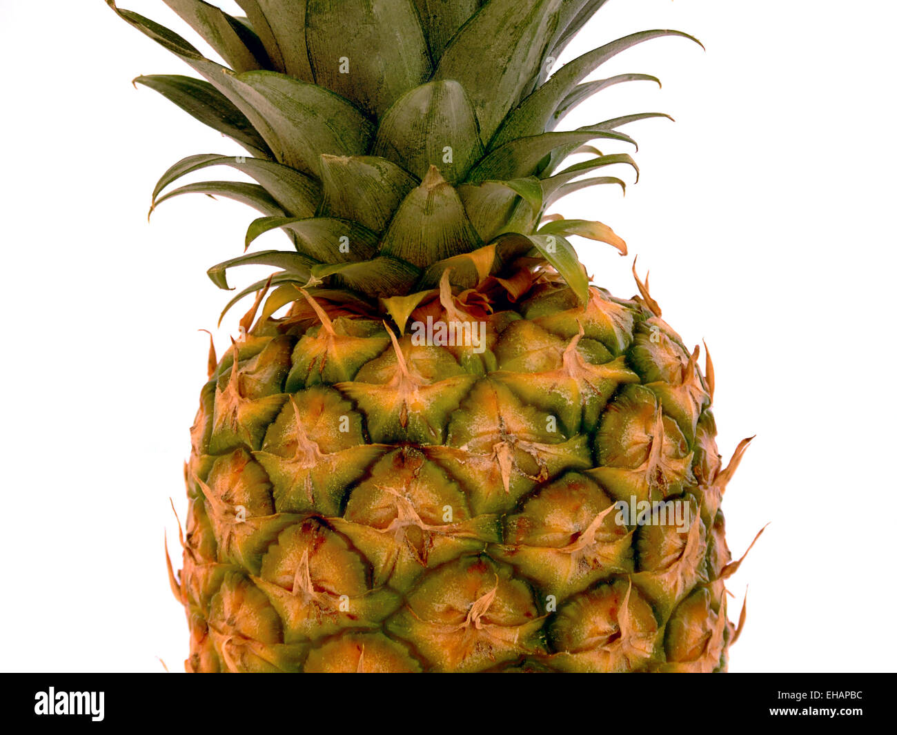 Ananas / ananas Foto Stock
