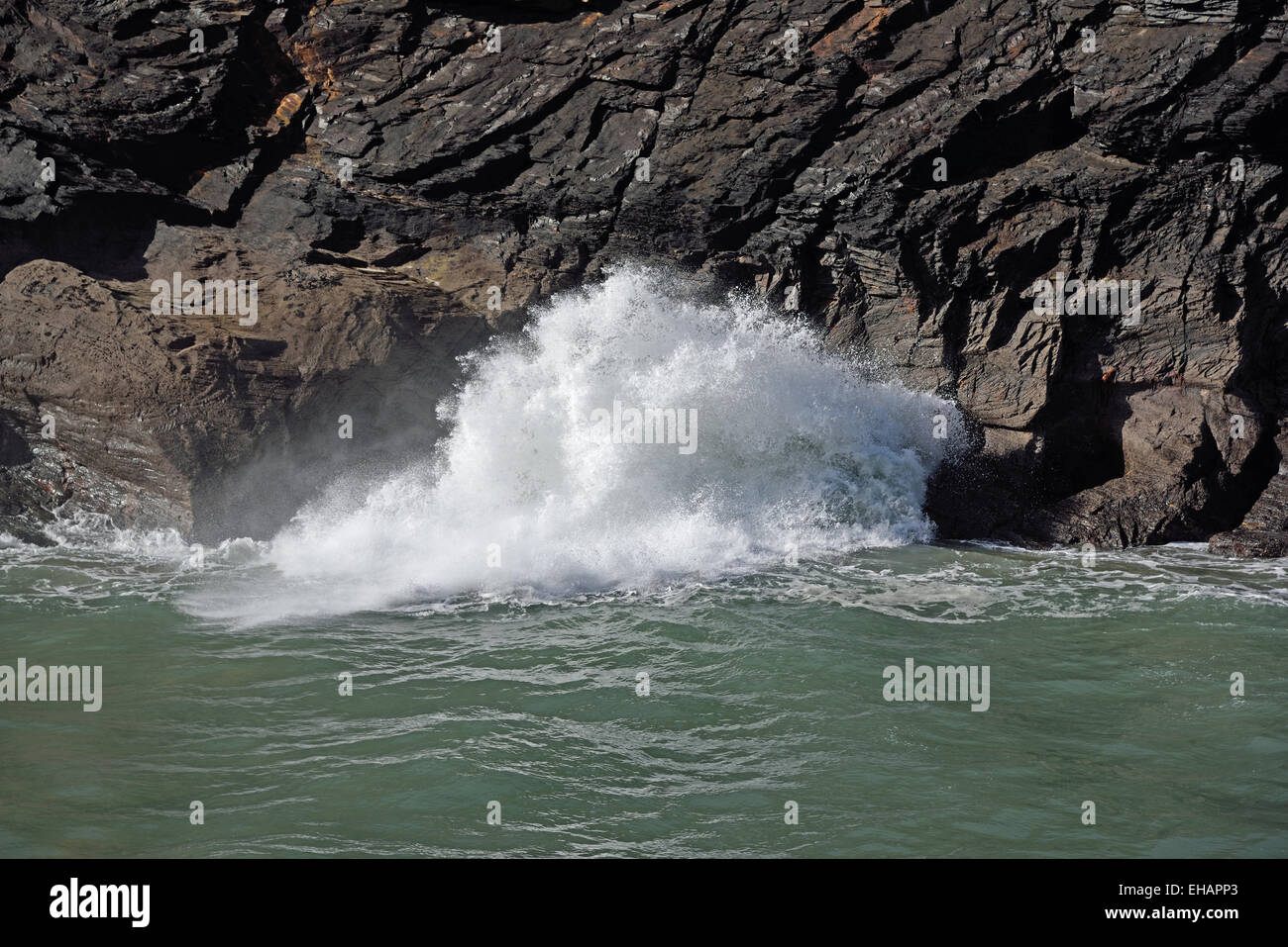 Close-up di active blowhole nella scogliera di penalmente punto, Boscastle, Cornwall, Regno Unito Foto Stock