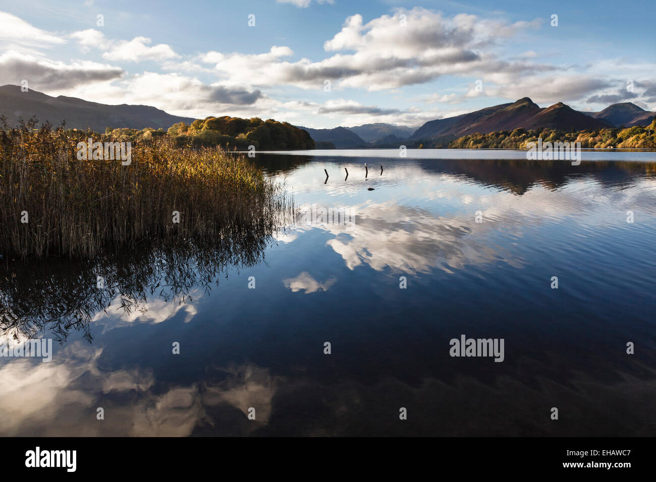 Vista sulla Derwent Water da Keswick verso Cat campane, Parco Nazionale del Distretto dei Laghi, Cumbria, Inghilterra Foto Stock