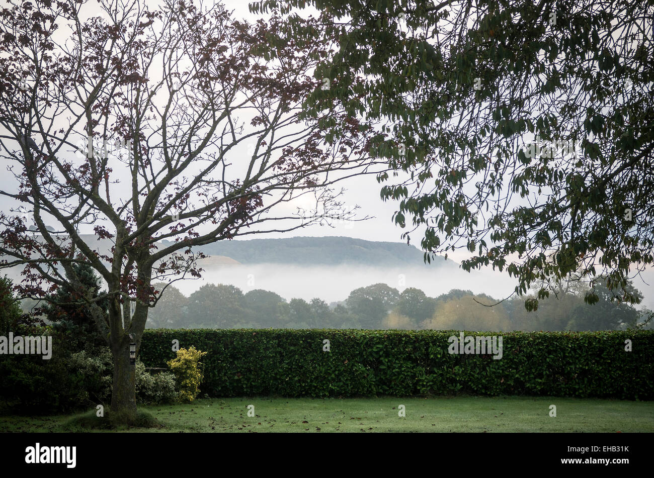 La nebbia in aumento in valle sotto il North Wessex Downs vicino a Devizes WILTSHIRE REGNO UNITO Foto Stock