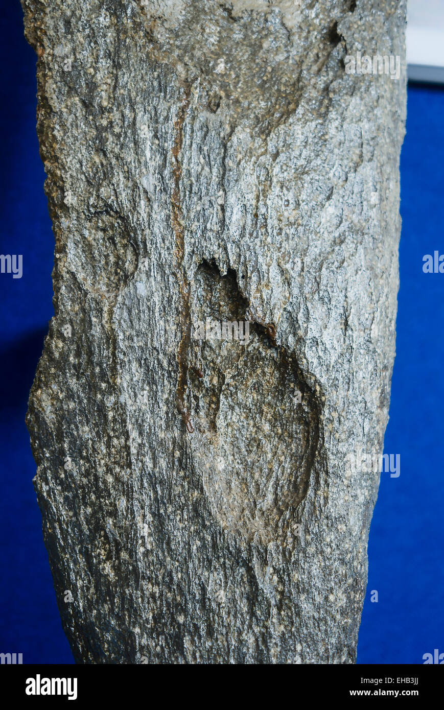 Gravemente corrosi aereo pala di elica recuperati dal mare-letto in SouthWales REGNO UNITO Foto Stock