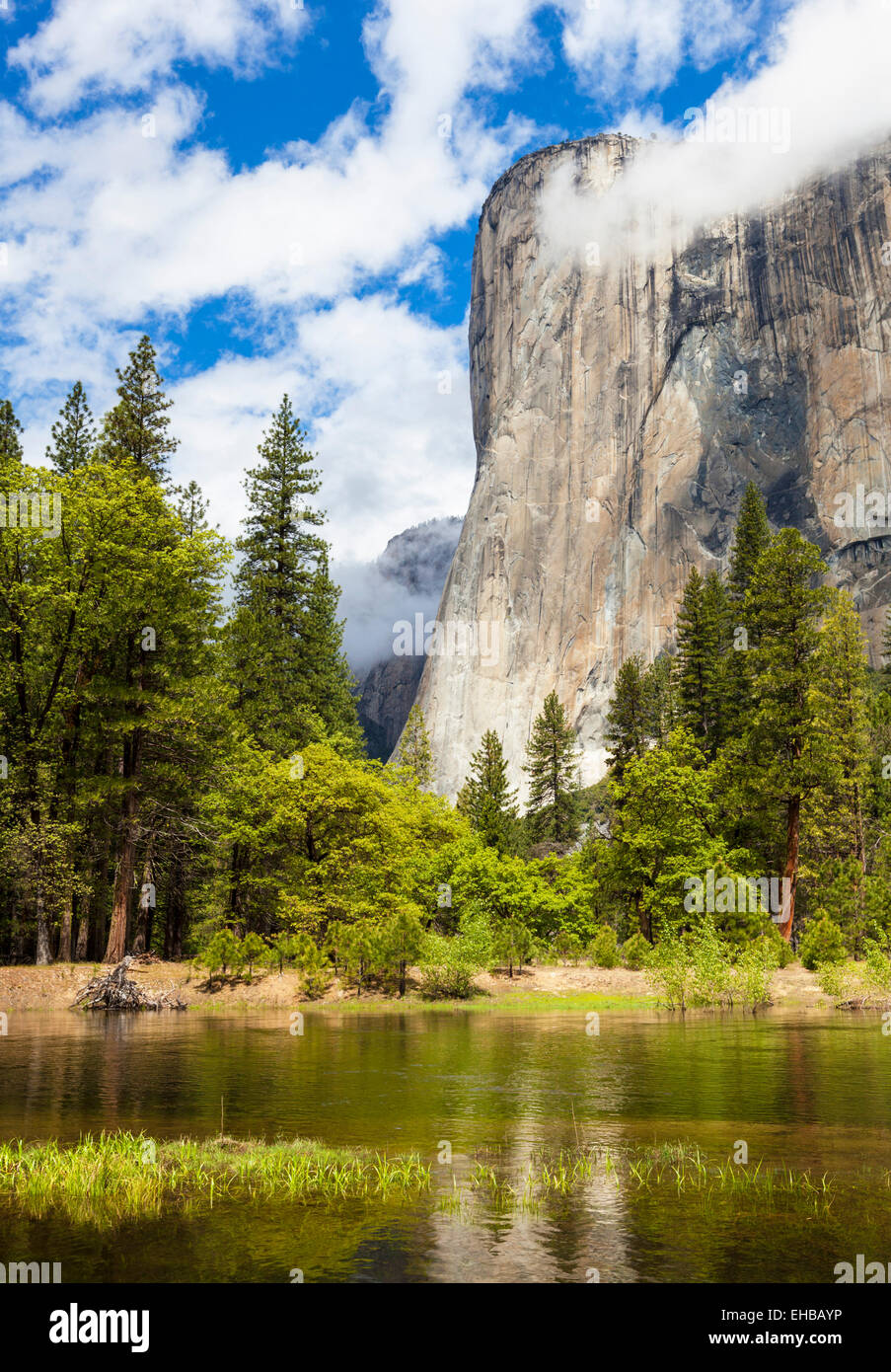 El Capitan con il fiume Merced che scorre attraverso la valle di Yosemite Yosemite National Park in California Foto Stock