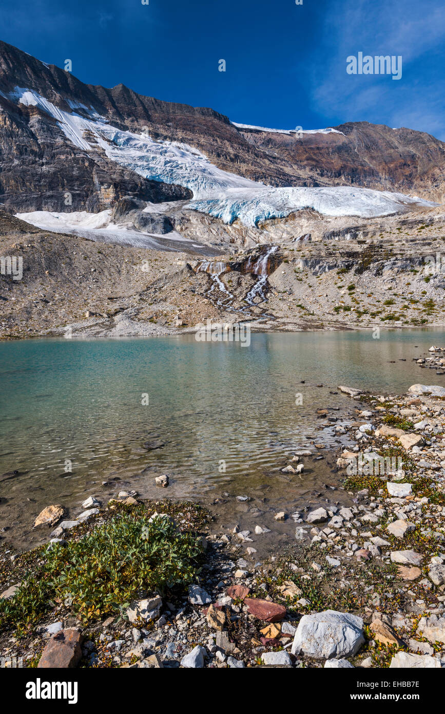 Il lago glaciale, Smeraldo lingua del ghiacciaio di seguito presidente gamma, Iceline Trail, Canadian Rockies, Yoho Parco Nat, British Columbia Foto Stock