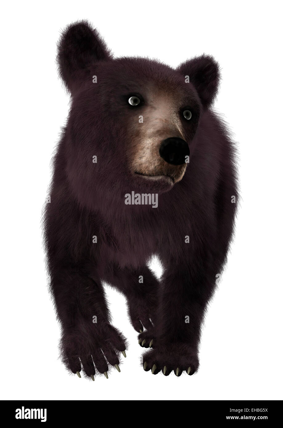 3D render digitale di un piccolo grazioso American black bear o Ursus americanus isolati su sfondo bianco Foto Stock