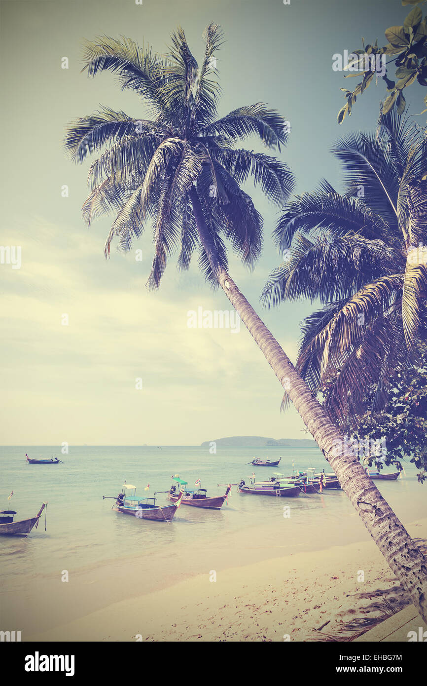 Vintage tonica palme sulla spiaggia, estate sfondo. Foto Stock