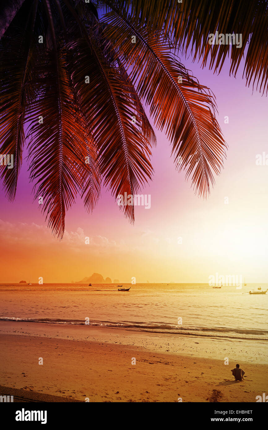 Sfondo di vacanza fatta di palme sagome al tramonto. Foto Stock