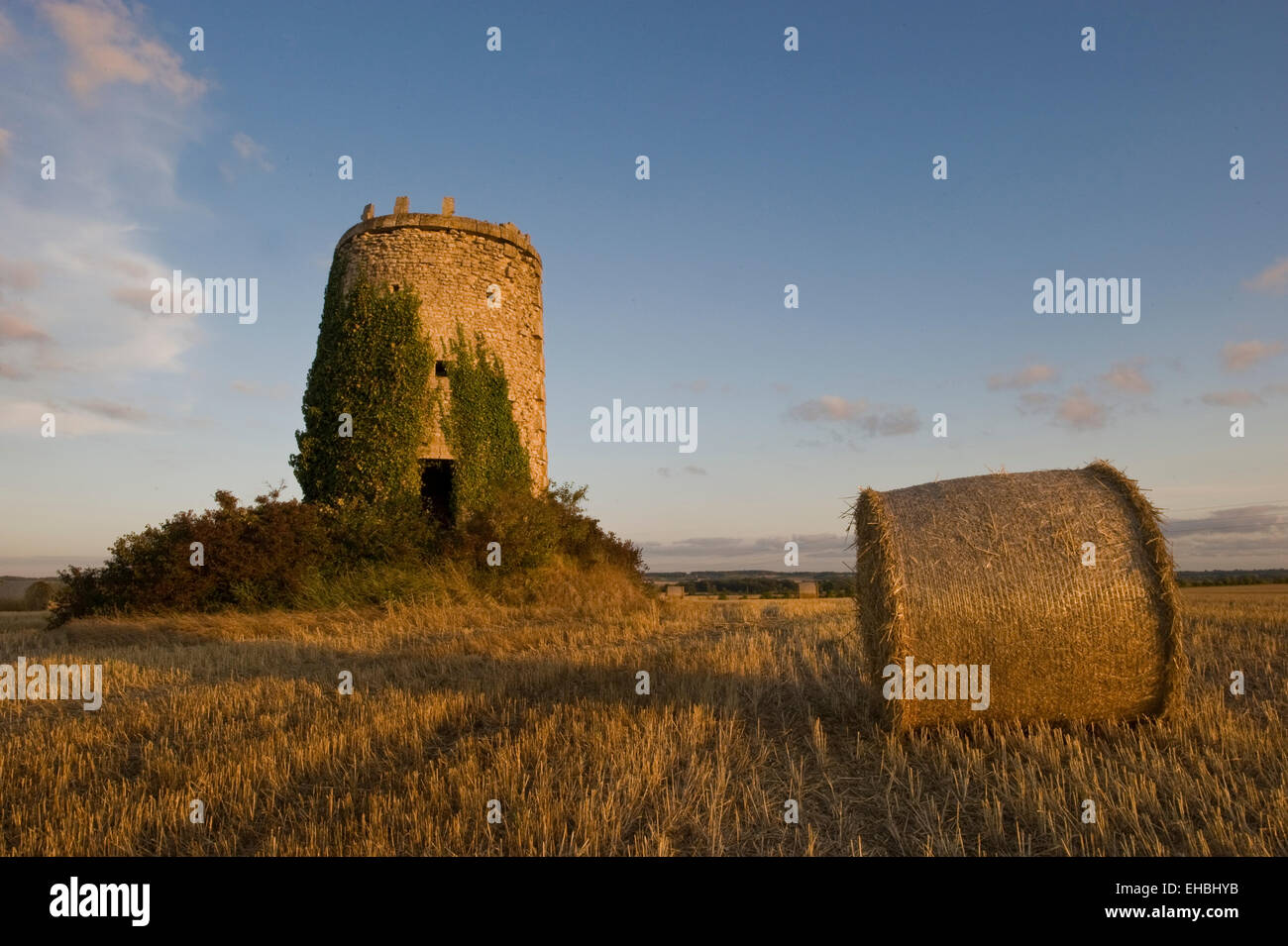 Una follia a distanza in un campo di balle di fieno Foto Stock