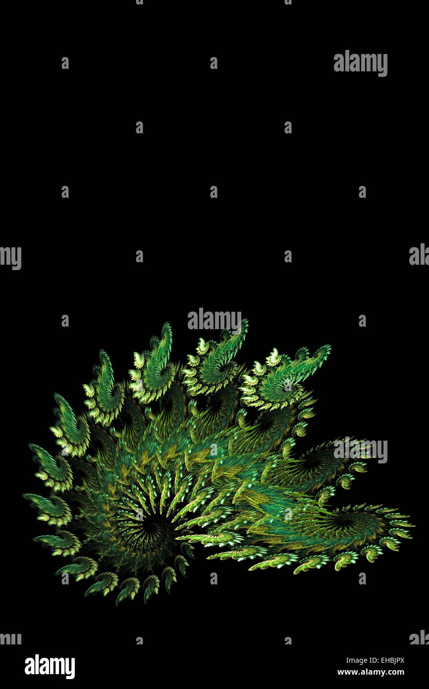 Abstract ammonita verde illustrazione generato utilizzando le apofisi fiamma programma Fractal Foto Stock