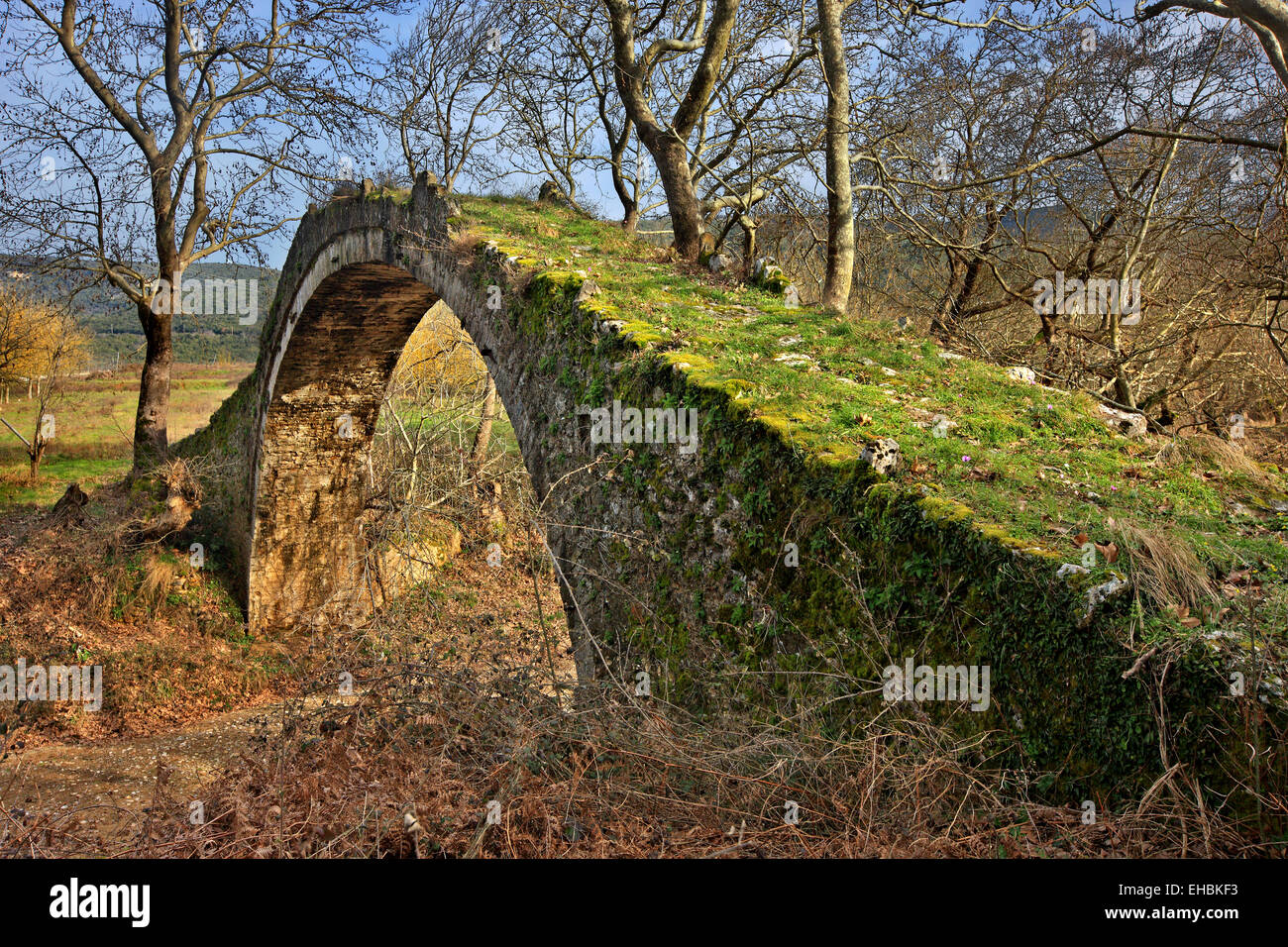Il Allamanos (o 'Allamanou') ponte di pietra, vicino alla città di Agia, Larissa, Tessaglia, Grecia Foto Stock