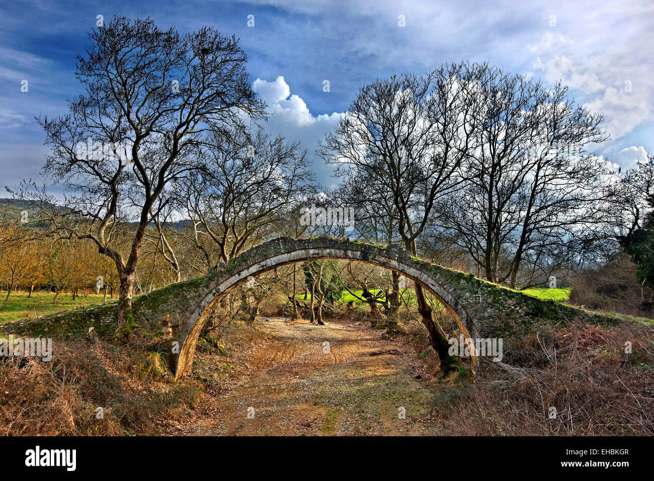 Il Allamanos (o 'Allamanou') ponte di pietra, vicino alla città di Agia, Larissa, Tessaglia, Grecia Foto Stock