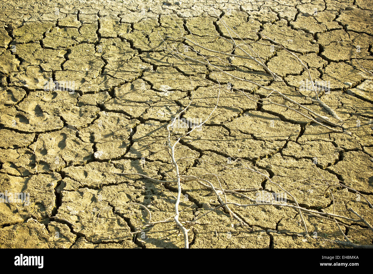Il terreno asciutto nel lago di fondo durante la fase di essiccazione Foto Stock
