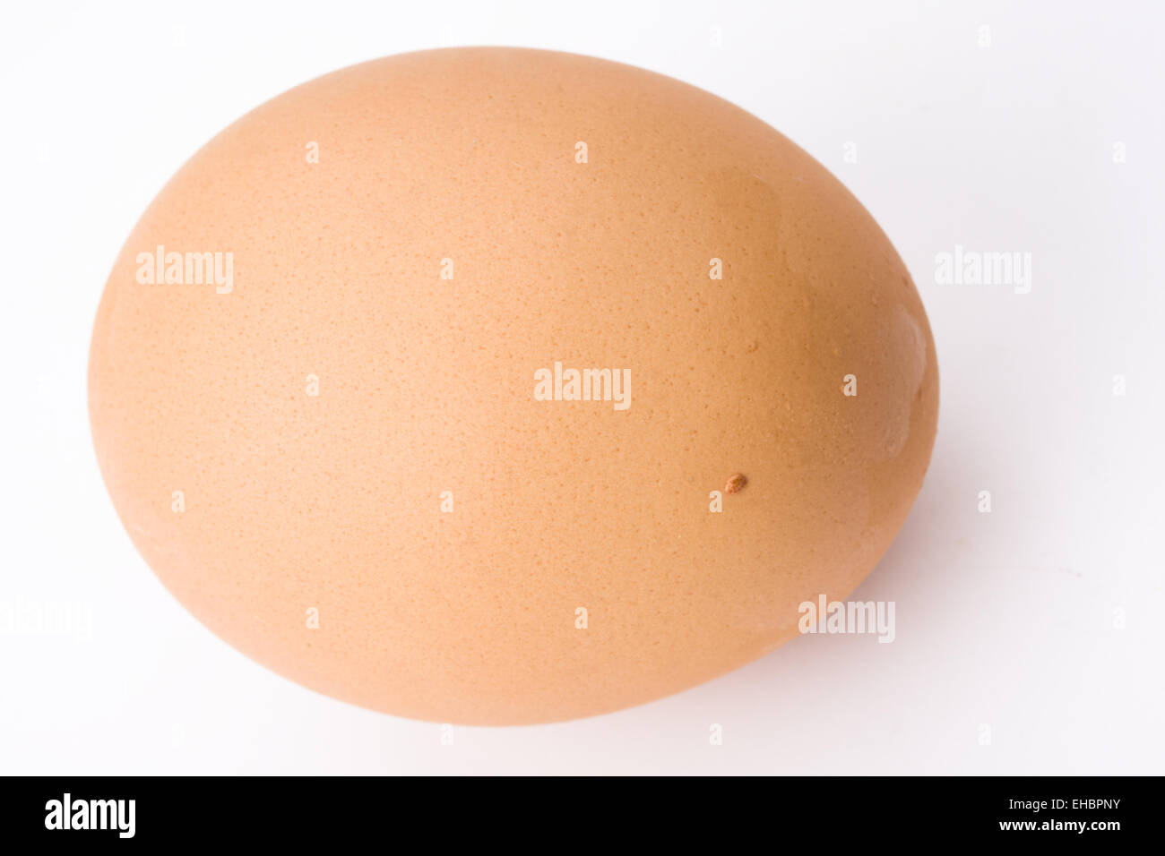 Singolo uovo beige su sfondo bianco Foto Stock