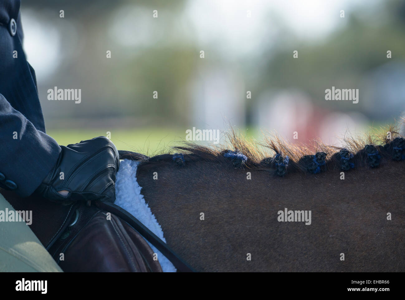 Il cavallo e la ragazza adolescente al ponticello del cacciatore mostrano la concorrenza Foto Stock