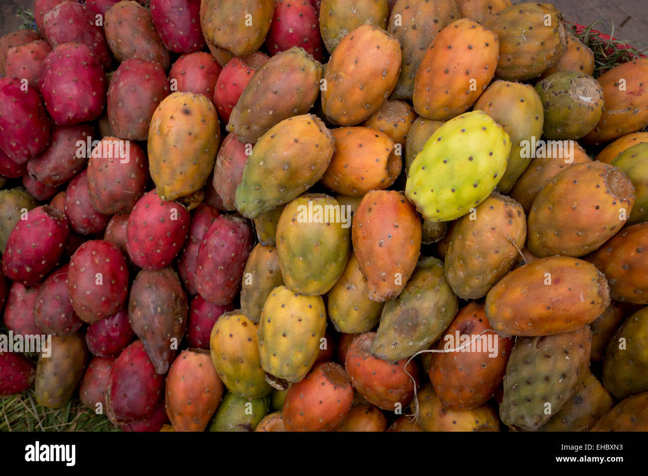 Cactus, San Pedro Mercato, Cusco, Provincia di Urubamba, Perù Foto Stock