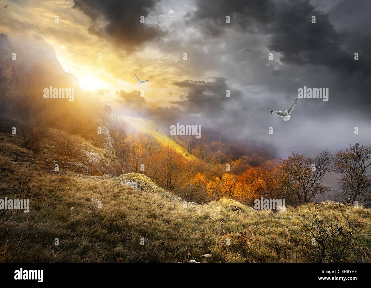 Uccelli e nuvole grigie su montagne in autunno Foto Stock