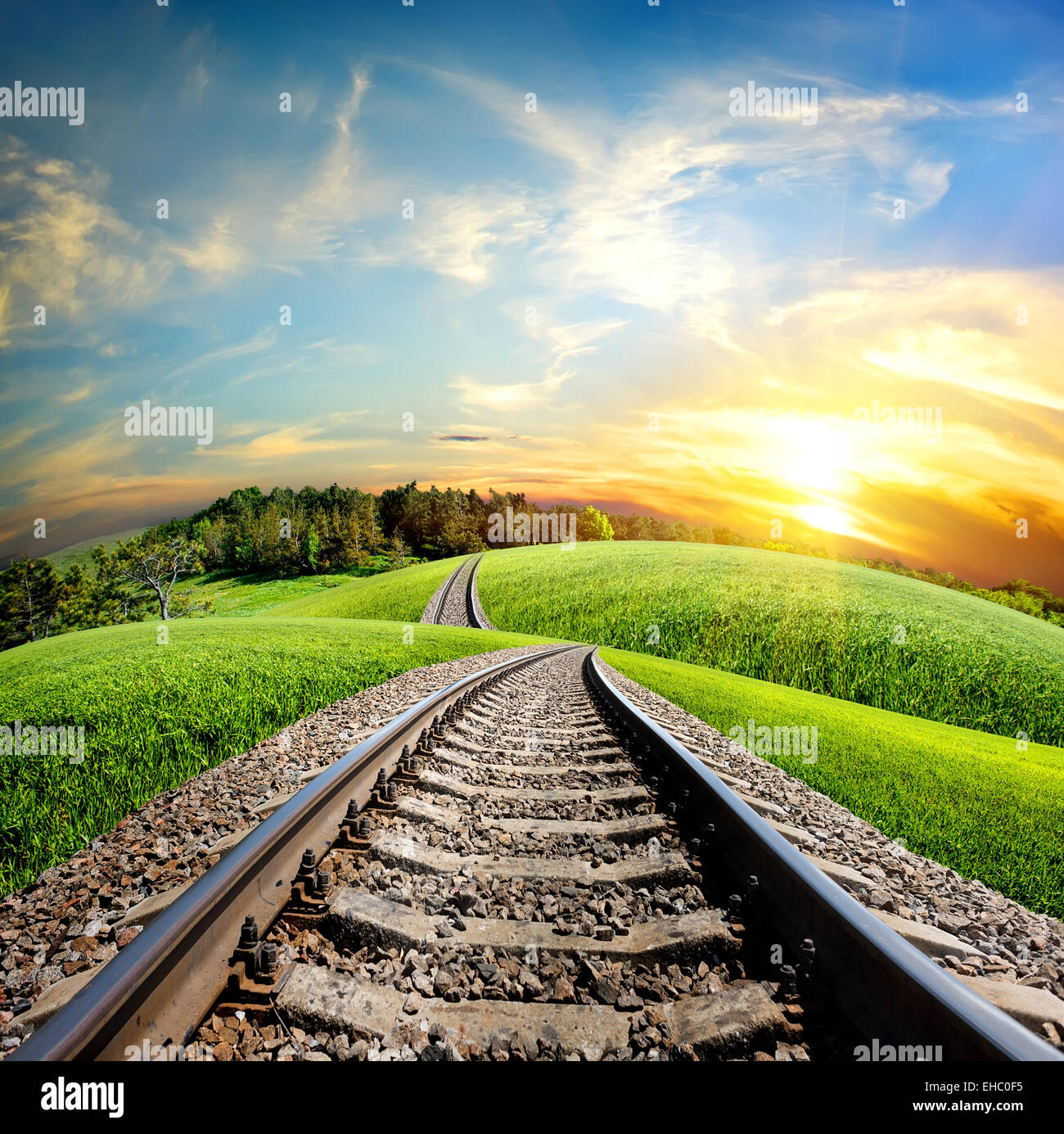 Ferrovia attraverso il campo verde e foresta Foto Stock