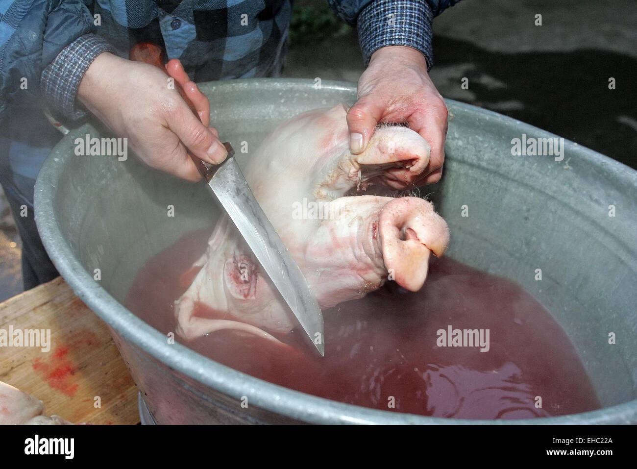Casa di macello Foto Stock