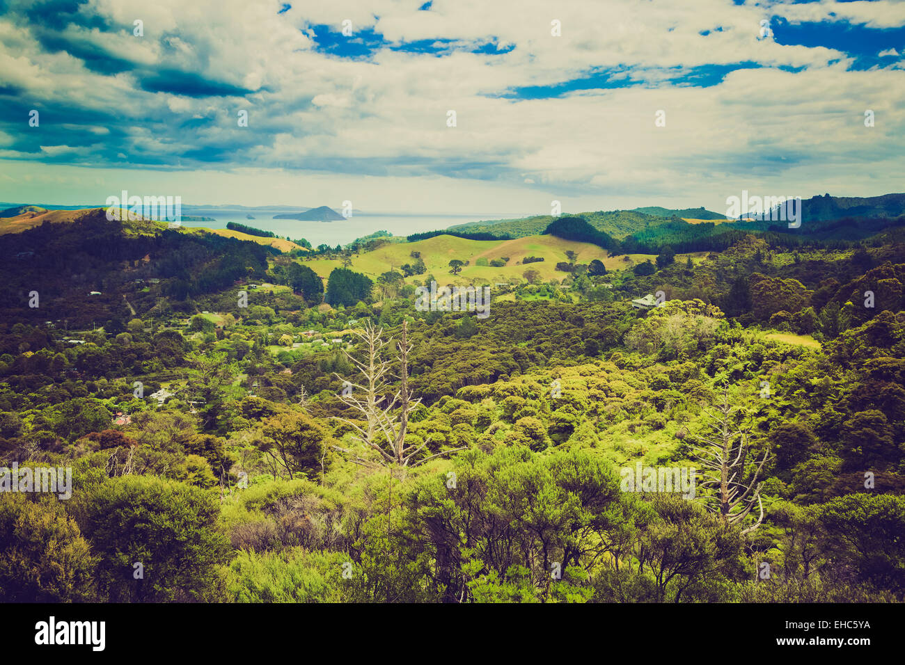 Vista panoramica del paesaggio coperto di vegetazione, in Nuova Zelanda. Foto Stock
