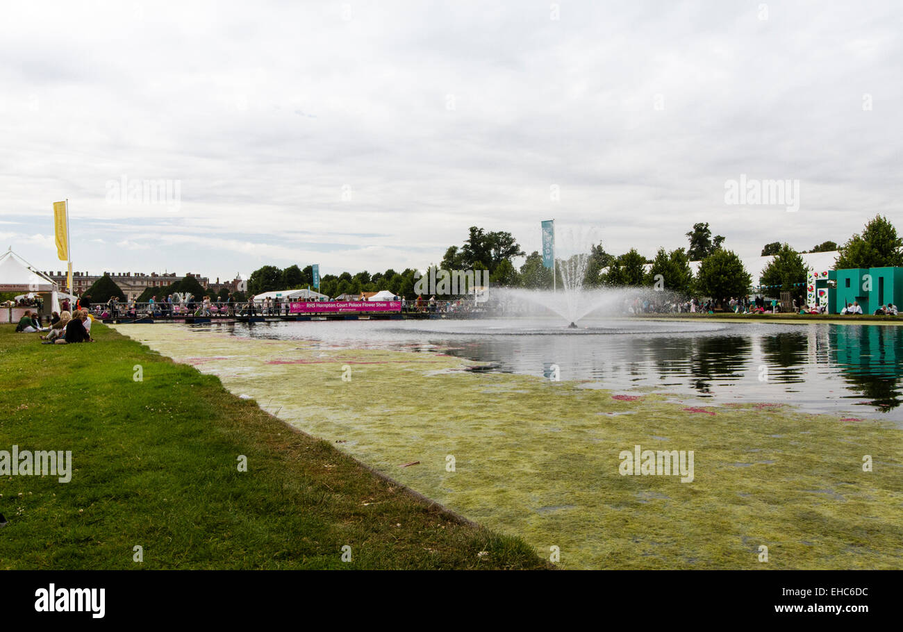 RHS Hampton Court Flower Show Luglio 2014 Foto Stock