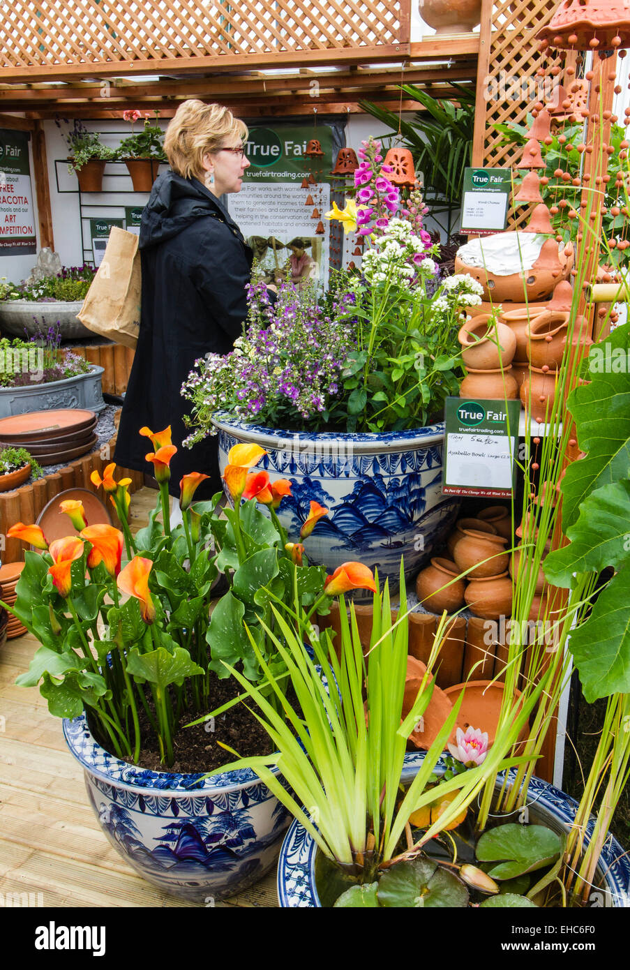 RHS Hampton Court Flower Show Luglio 2014 Foto Stock