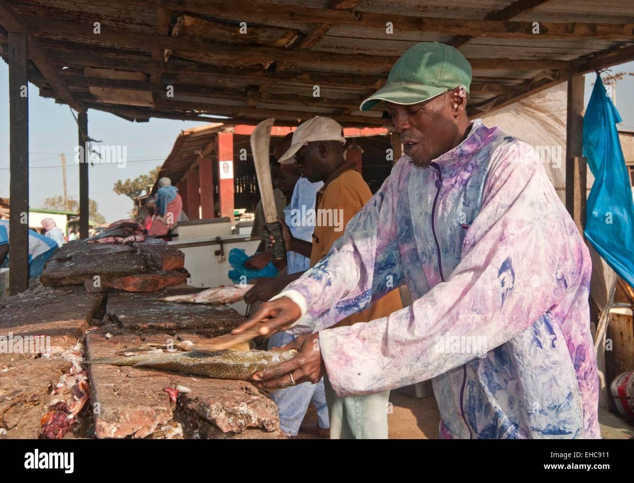 Disincrostazione e preparazione del pesce per essere essiccato, Tanji Villaggio di Pescatori, il Gambia,Africa occidentale Foto Stock